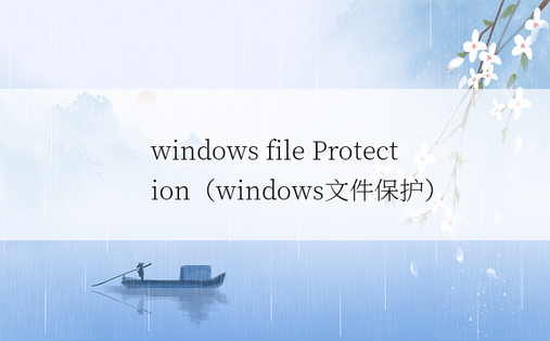 windows file Protection（wi