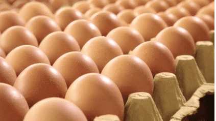 女大学生赢得14000个鸡蛋
